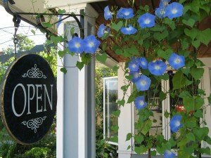 Flowers 007