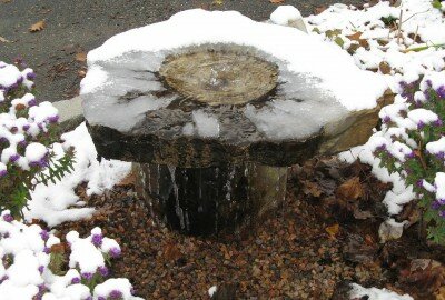 fountain winter